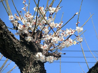 仙台市 W様邸 地鎮祭